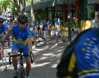 Cyclistes en uniforme bleu et jaune sur une rue bordée d'arbres.