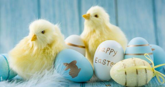 Chicks and colorful eggs on blue background, Easter theme.